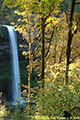 South Falls, Silver Falls, Oregon