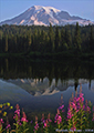 Summer Reflection, Mt.&nbsp;Rainier, Washington