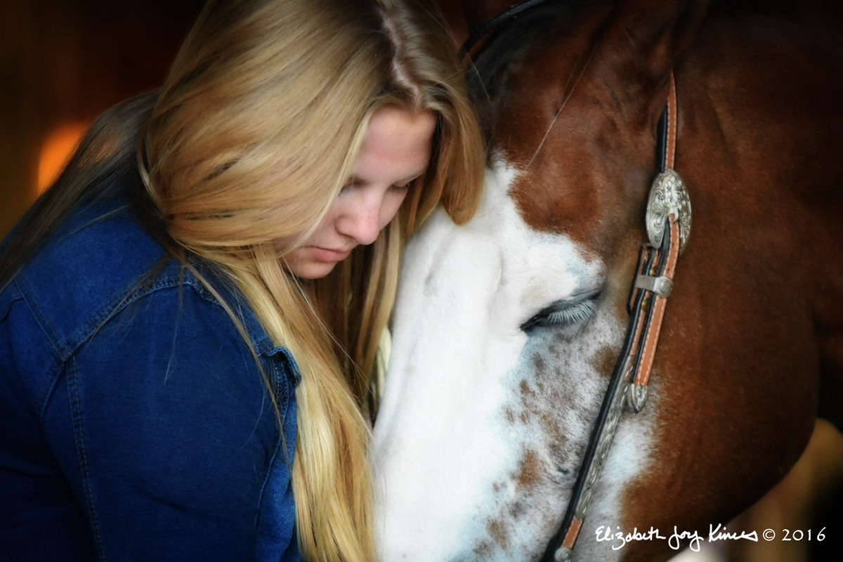 Andella &&nbsp;Zippy