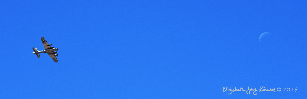 View of Crecent Moon